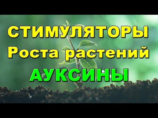 СТИМУЛЯТОРЫ РОСТА РАСТЕНИЙ АУКСИНЫ. Всегда хороший урожай!