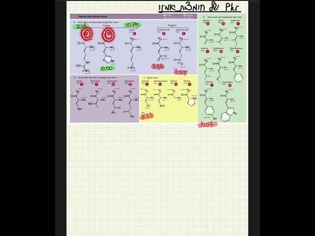 איך לשנן? ביוכימיה- pKr של שיירי חומצות אמינו