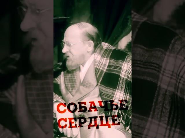 #собачье #сердце #1988#преображенский #борменталь #fil'morezka