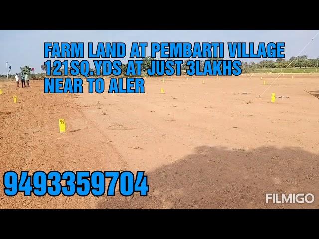 Sandalwood farm land at pembarti on warangal highway road