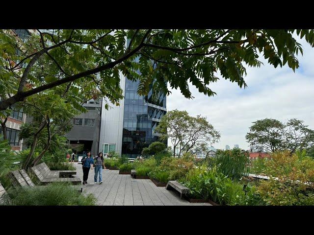 Hello New YorkWalking the Highline