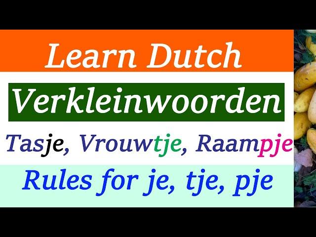 Verkleinwoorden rules and examples in English | Learn Dutch advance | Inburgering exam cursus