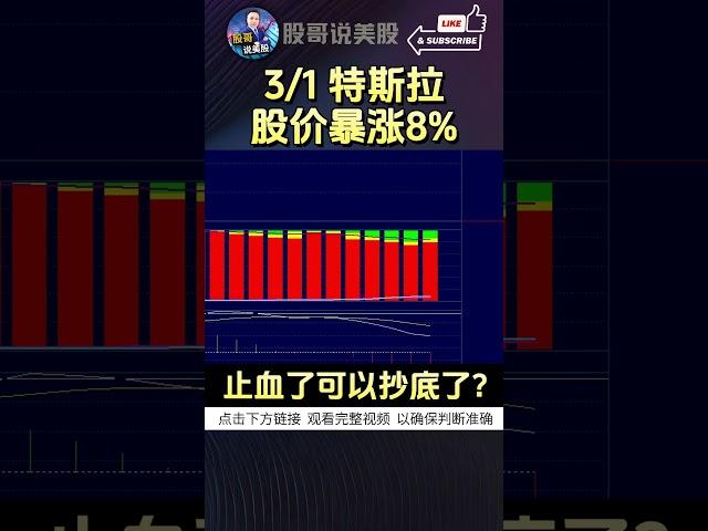 【特斯拉暴涨8%】止血了可以抄底了？#特斯拉 #特斯拉股票 #美股 #股哥说美股 #tesla #马斯克 #美股复盘