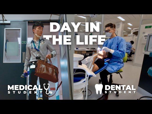 Day in the Life of a Medical Student vs Dental Student