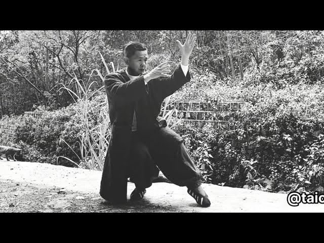 Learn Tai Chi from a Tai Chi Master: Lou Xi Ao Bu 武当太极拳经典招式之搂膝拗步