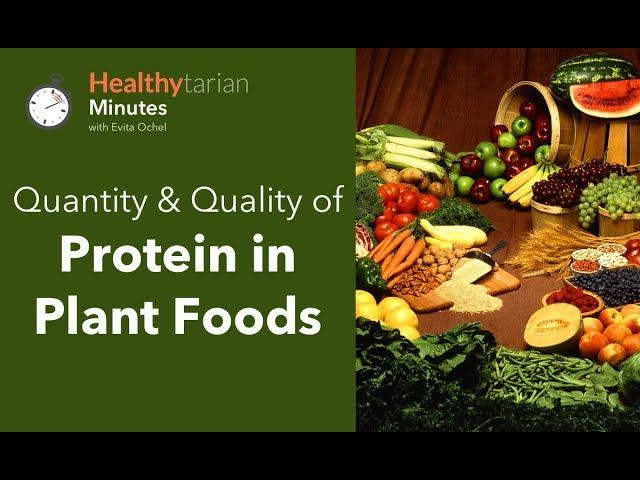 Quality & Quantity of Protein in Plant Foods (Healthytarian Minutes ep. 45)