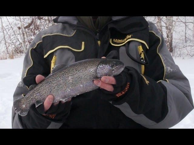 trout Fishing