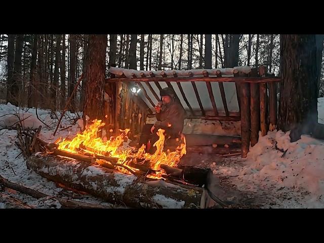 I Created the Perfect Bushcraft Camp for Survival in a Wild, Wintry Forest