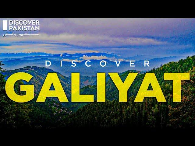 Discover Galiyat | Ayubia National Park | Discover Pakistan