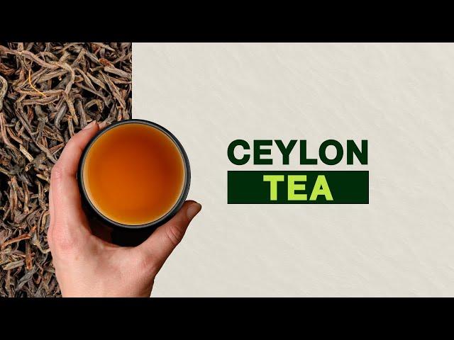 The Art of Ceylon Tea  Exploring Sri Lanka's Tea Country and Learning History of Ceylon Tea