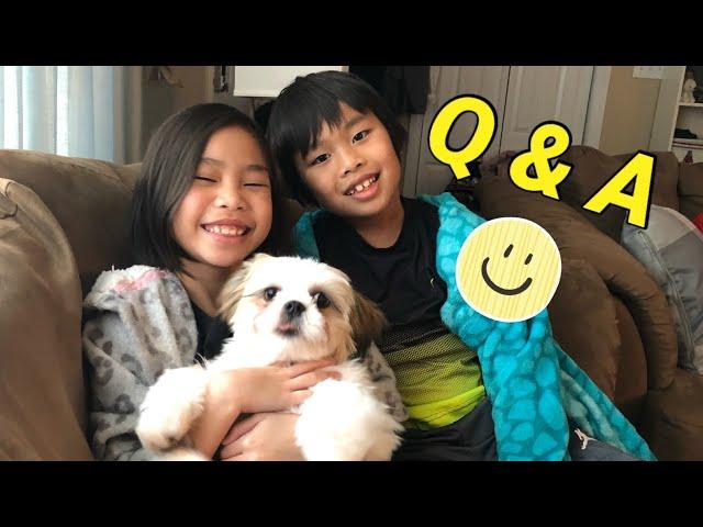 Q and A with Shih Tzu Puppy and Siblings