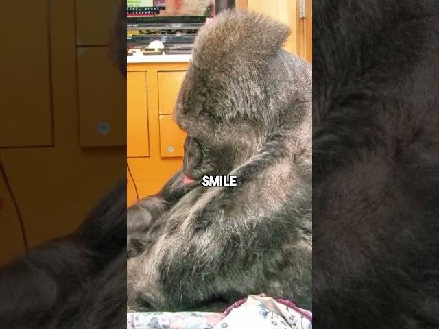 The Animal That Spoke and Begged Us To Listen 