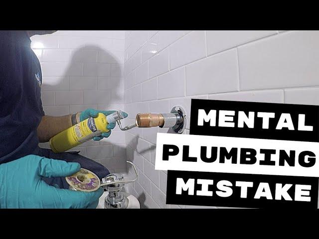 PLUMBING REPAIRS | MENTAL MISTAKES HAPPEN | FLUSHOMETER INSTALL