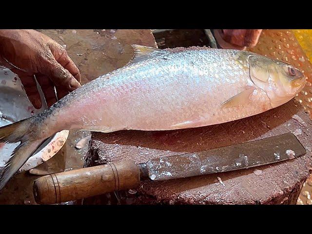 Amazing cutting Skills | Delicious Hilsa-Rohu-Katla Fish Cutting Skills In Fish Market