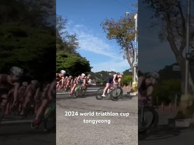 2024통영트라이애슬론 월드컵대회 바이크 반환구간 bike turn