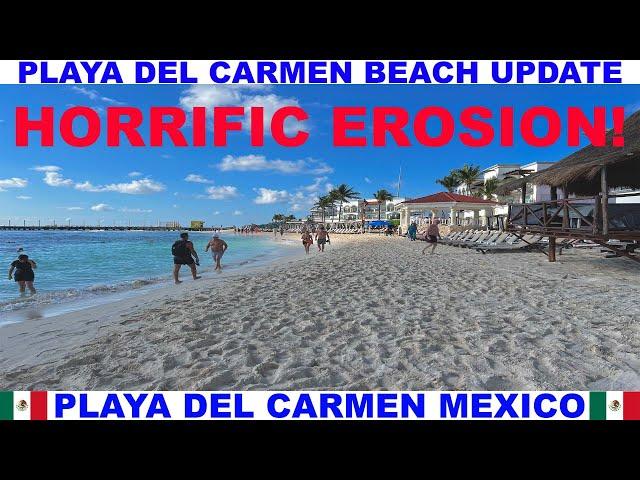 PLAYA  DEL CARMEN MEXICO BEACH AND SEAWEED UPDATE - HORRIFIC EROSION