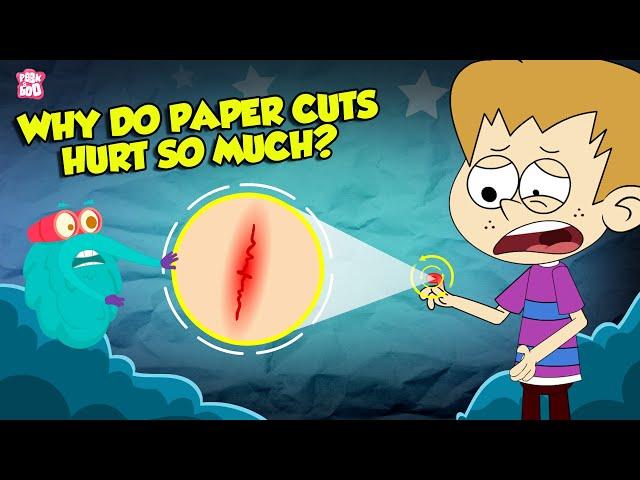 Why Do Paper Cuts Hurt So Much? | How Does Your Brain Respond to Pain? | The Dr. Binocs Show