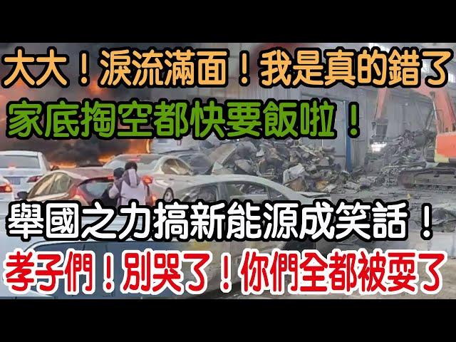 孝子們！別哭了！你們全都被耍了！舉國之力搞新能源成笑話！家底掏空都快要飯啦！大大！淚流滿面！他是真的錯了！