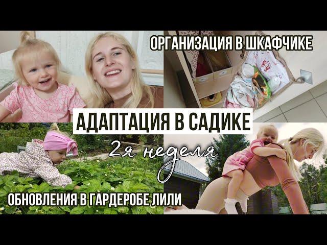 АДАПТАЦИЯ В САДИКЕ физическое развитие, актуальная одежда на 2 года, дачные будни