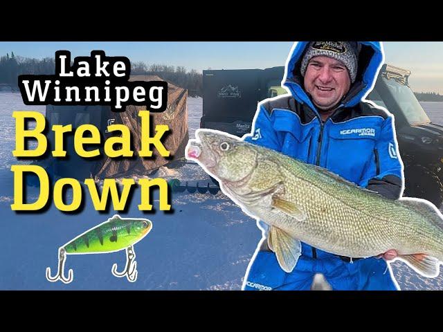 Lake Winnipeg Greenback Walleye Break Down