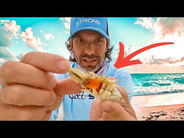 How to Spot, Catch, Rig, and Store **SAND FLEAS** The All in One Mole Crab Video.