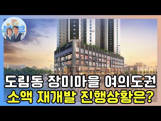 영등포 재개발 임박한 도림동 장미마을 신속통합기획 동의율과 전망