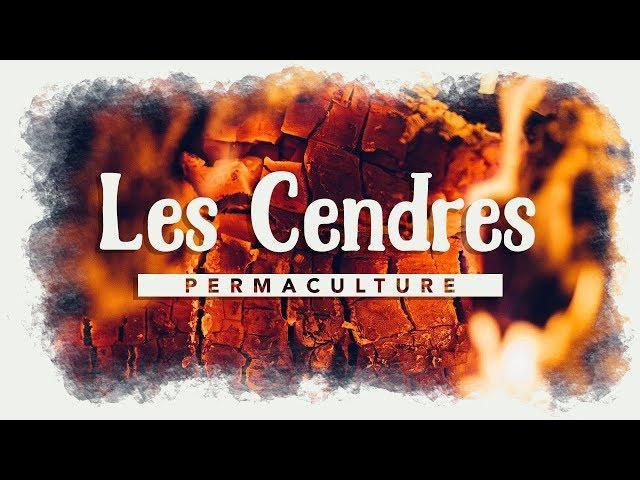 Le rôle des cendres dans son jardin permaculture !!!    #permaculture