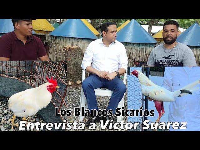 El Diputado Victor Suarez y Su Línea de Gallos Blancos