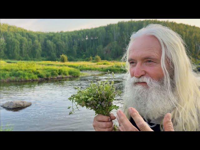 САМЫЙ ПОЛЕЗНЫЙ чай! 3 важных ингредиента для крепкого здоровья