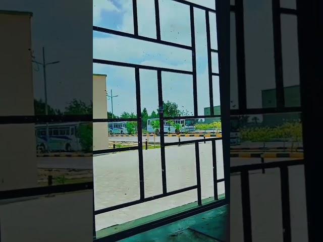 window 🪟 #shorts #viral #sbbusba #university #students #sindh #trendingvideo #nawabshah #amazon