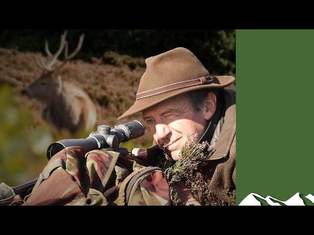 Hunting battling red stags in Scotland