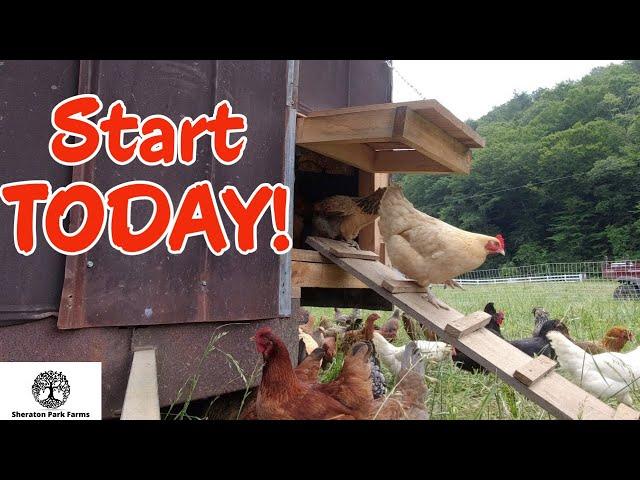 Quick Start Guide - Raising Chickens For Beginners