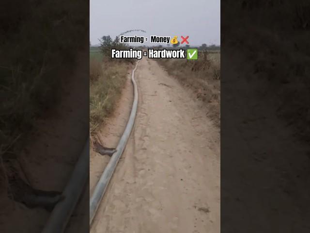 🫡Respect increased for farmers hardwork  #shorts #shortsvideo #viralvideo #trending #shortsviral