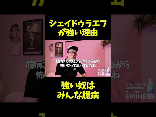 青木真也がシェイドゥラエフを絶賛する理由