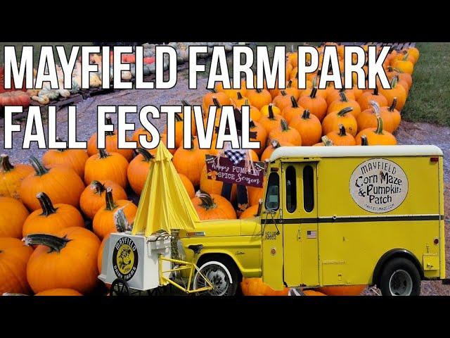 Mayfield Farm Park Fall Festival / Pumpkin Patch, Corn Maze & Pig Races Factory Visitor Center 2023