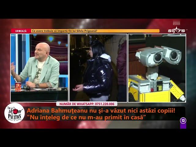 Adriana Bahmuțeanu: Anul acesta mi-au venit 13 controale inopinate de la DGASPC