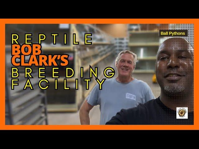 Bob Clark’s Reptile Breeding Facility | #youtubevideos #snake #reptiles #pets