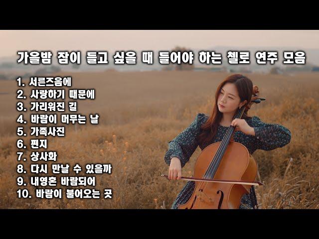 [Playlist] 가을밤 잠이 들고 싶을 때 들어야 하는 첼로 연주