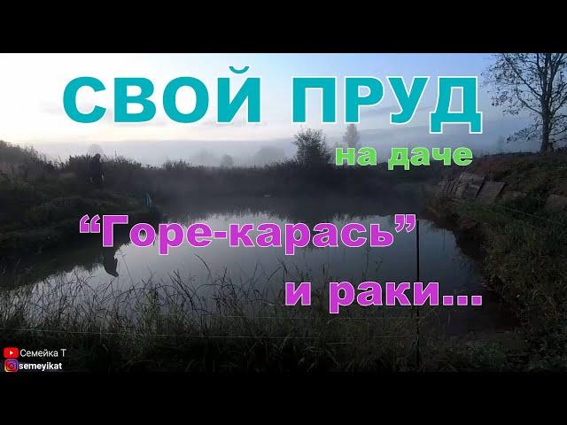 Свой пруд на даче. Ловим раков на карася. Пруд на участке с рыбой и раками своими руками.