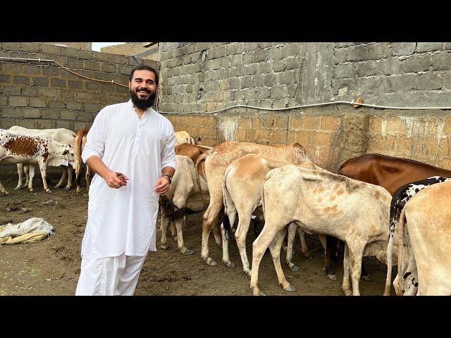 Eid first day | Qurbani ki tayari | Mustafa Hanif BTS | daily vlogs