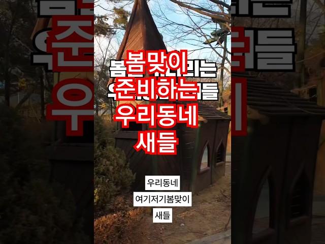 #봄을 맞이하는 #새들  #우리동네 #예당마을 #동탄 #석우동 #롯데캐슬 #여기저기