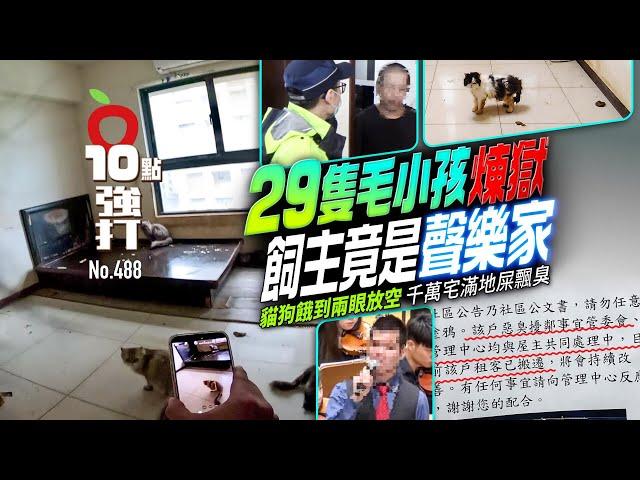 壹蘋10點強打｜29隻毛小孩煉獄飼主竟是聲樂家！貓狗餓到兩眼放空　千萬宅滿地屎飄臭