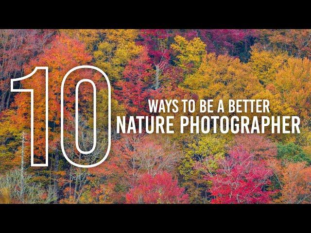 10 Ways to be a Better Nature Photographer