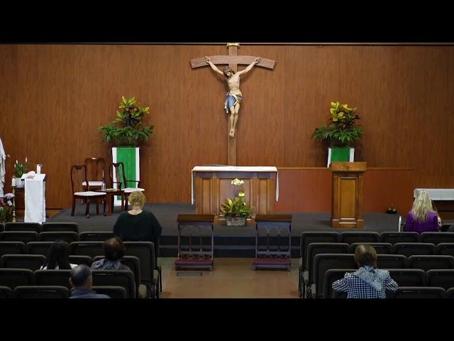 STM Livestream: 8AM Friday Mass