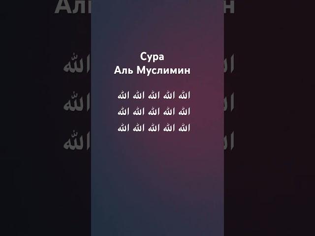 Сура аль муслимин
