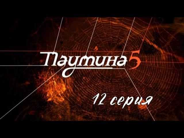 Паутина 5. Серия 12. Детективный Боевик. Криминальный Фильм