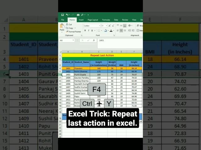 Excel Trick: Repeat last action in excel.