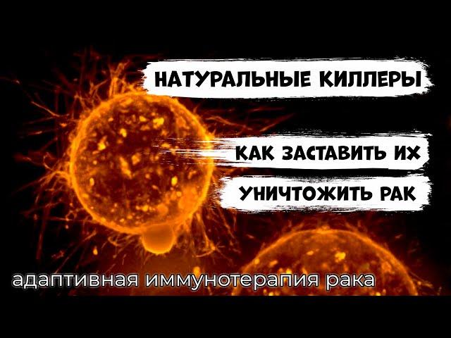 Иммунотерапия НАТУРАЛЬНЫМИ КИЛЛЕРАМИ рака. Перспективное направление лечения онкозаболеваний