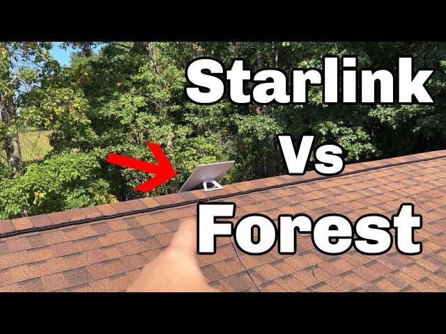 Does Starlink Work in The Woods?