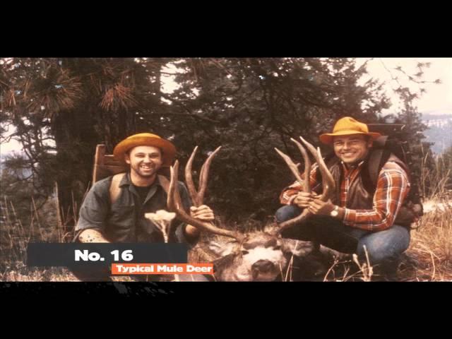 Record Quest 2012: Hunt for the World's Largest Mule Deer